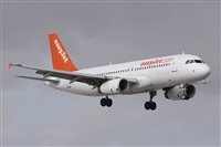 Alfonso Sols - Asociacin Canary Islands Spotting. Haz click para ampliar