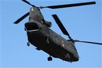Fco Javier Chao. Click to see full size photo