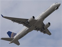 Manuel Noisy Spotters. Click to see full size photo