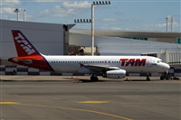 Javier de la Cruz - CANARY ISLANDS SPOTTING. Click to see full size photo