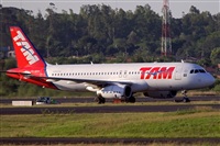 Javier de la Cruz - CANARY ISLANDS SPOTTING. Click to see full size photo