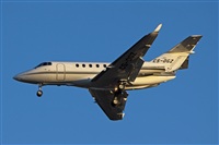 Rui Alves - Portugal Spotters. Click to see full size photo