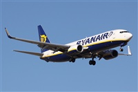 ©Alfonso Solís - Asociación Canary Islands Spotting. Click to see full size photo ©Alfonso Solís - Asociación Canary Islands Spotting. Click to see full size photo