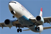 Rubn Gil - Noisy Spotters. Click to see full size photo