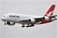 Rubn Gil - Noisy Spotters. Click to see full size photo