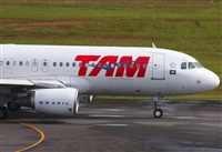 Fabio Duarte - Manaus Spotting Team. Click to see full size photo
