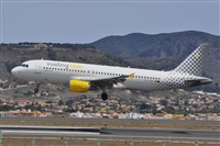 Miguel A. gueda Rguez.  (CANARY ISLANDS SPOTTING). Click to see full size photo