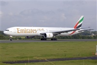 Javier de la Cruz - CANARY ISLANDS SPOTTING. Click to see full size photo