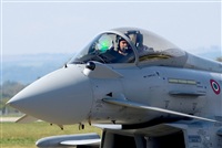 Tams. Click to see full size photo