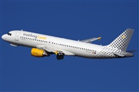 Miguel Alia - Noisy Spotters. Click to see full size photo