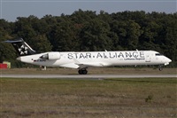 Miguel Alia - Noisy Spotters. Click to see full size photo
