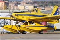 Rubn Gil - Noisy Spotters. Click to see full size photo