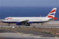 Alfonso Sols - Asociacin Canary Islands Spotting. Click to see full size photo