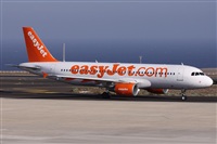 ©Alfonso Solís - Asociación Canary Islands Spotting. Click to see full size photo ©Alfonso Solís - Asociación Canary Islands Spotting. Click to see full size photo