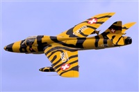 Tams. Click to see full size photo