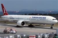 Rubn Gil - Noisy Spotters. Click to see full size photo