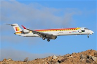 Miguel A. gueda Rguez.  (CANARY ISLANDS SPOTTING). Click to see full size photo