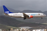 ©Adolfo Bento - Gran Canaria Spotters. Click to see full size photo ©Adolfo Bento - Gran Canaria Spotters. Click to see full size photo