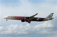 Miguel Alia - Noisy Spotters. Click to see full size photo