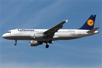 Florencio Martn Melin - Lanzarote Spotters. Click to see full size photo