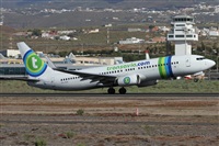 Alfonso Sols - Asociacin Canary Islands Spotting. Click to see full size photo