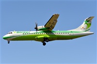 Daniel Santos Batista - Canary Islands Spotting. Click to see full size photo