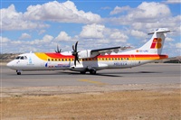 Miguel A. gueda Rguez.  (CANARY ISLANDS SPOTTING). Haz click para ampliar