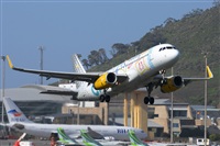 Miguel A. gueda Rguez.  (CANARY ISLANDS SPOTTING). Click to see full size photo