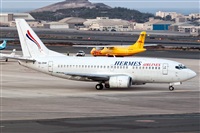 Javier de la Cruz - CANARY ISLANDS SPOTTING. Click to see full size photo