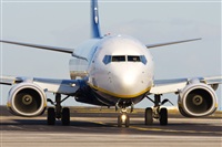 Saimon J Rodriguez   -   Canary Islands Spotting. Click to see full size photo