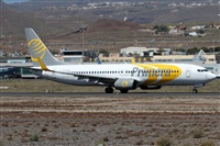 ©Alfonso Solís - Asociación Canary Islands Spotting. Click to see full size photo ©Alfonso Solís - Asociación Canary Islands Spotting. Click to see full size photo