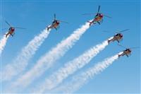 Miguel Martin Cordeiro - Iberian Spotters. Click to see full size photo