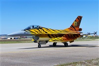 Florencio Martn Melin - Lanzarote Spotters. Click to see full size photo