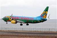 Adrin Alonso Lemes - Lanzarote Spotters. Click to see full size photo
