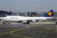 Miguel A. gueda Rguez.  (CANARY ISLANDS SPOTTING). Click to see full size photo