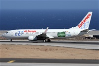 ©Alfonso Solís - Asociación Canary Islands Spotting. Click to see full size photo ©Alfonso Solís - Asociación Canary Islands Spotting. Click to see full size photo