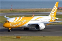 Miguel A. gueda Rguez.  (CANARY ISLANDS SPOTTING). Haz click para ampliar