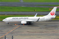 Miguel A. gueda Rguez.  (CANARY ISLANDS SPOTTING). Click to see full size photo