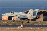 Adolfo Bento - Gran Canaria Spotters. Click to see full size photo