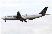 Florencio Martn Melin - Lanzarote Spotters. Haz click para ampliar