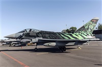 Tams. Click to see full size photo