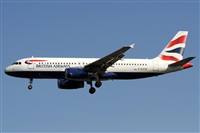 ©Alfonso Solís - Asociación Canary Islands Spotting. Click to see full size photo ©Alfonso Solís - Asociación Canary Islands Spotting. Click to see full size photo