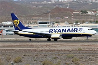 Alfonso Sols - Asociacin Canary Islands Spotting. Haz click para ampliar