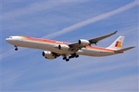 Miguel A. gueda Rguez.  (CANARY ISLANDS SPOTTING). Click to see full size photo