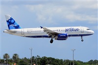 Miguel A. gueda Rguez.  (CANARY ISLANDS SPOTTING). Click to see full size photo