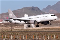 Javier de la Cruz - CANARY ISLANDS SPOTTING. Click to see full size photo