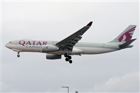 Miguel A. gueda Rguez.  (CANARY ISLANDS SPOTTING). Haz click para ampliar