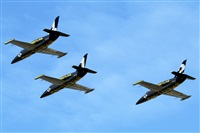 La Roche Spotters. Click to see full size photo