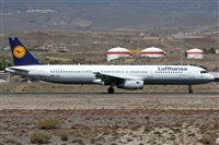 Alfonso Sols - Asociacin Canary Islands Spotting. Click to see full size photo