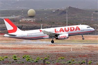 Miguel A. gueda Rguez.  (CANARY ISLANDS SPOTTING). Click to see full size photo